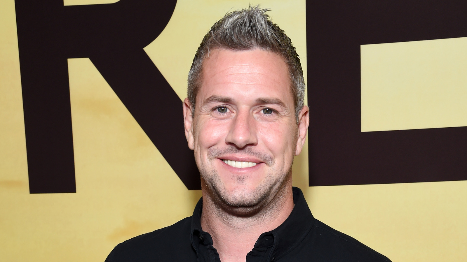 Ant Anstead Partner