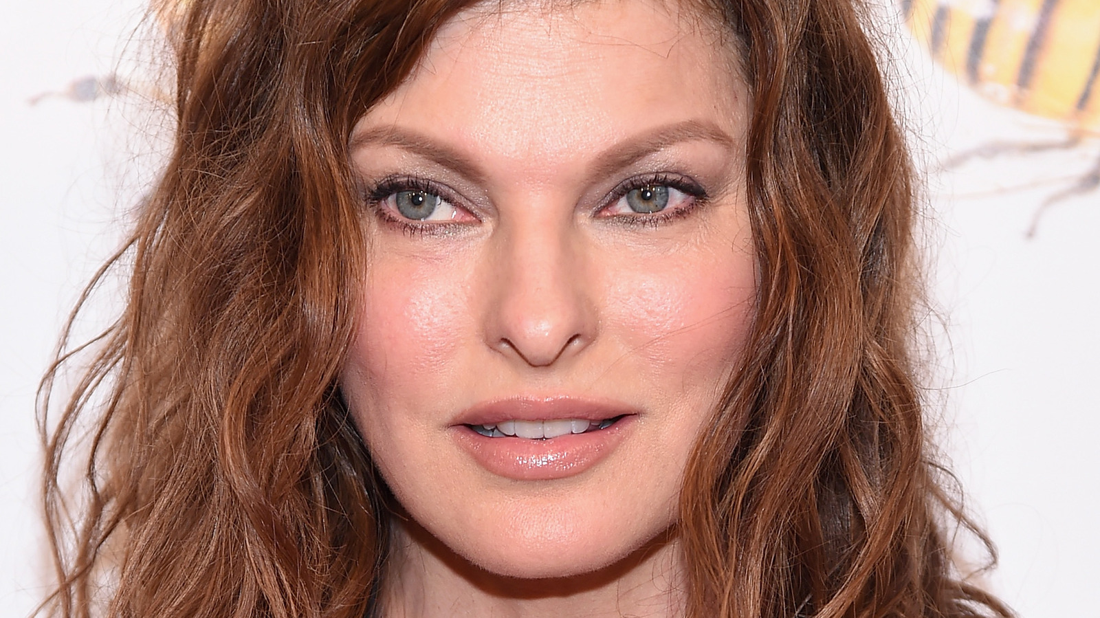 Linda Evangelista Botched Cosmetic Surgery