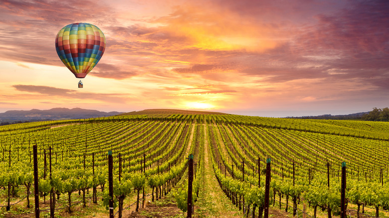 Hot air balloon flying over California wine country