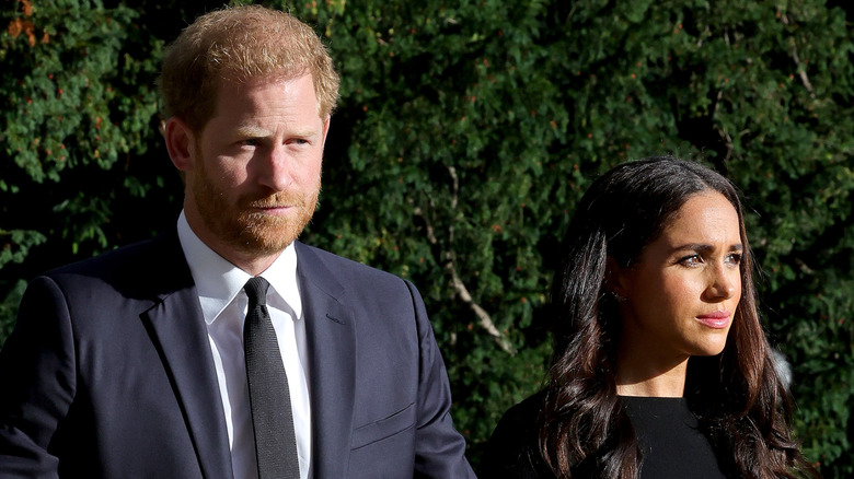 Prince Harry and Meghan Markle standing outside in front of greenery with the sun shining on their faces