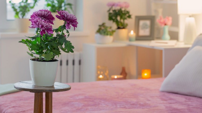 Cozy bedroom with flowers