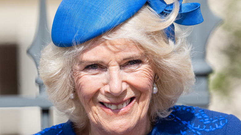10 Times Queen Camilla Was Spotted Wearing Queen Elizabeth's Jewelry