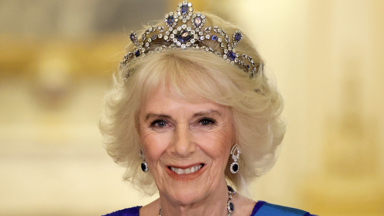 Queen Consort Camilla wearing blue