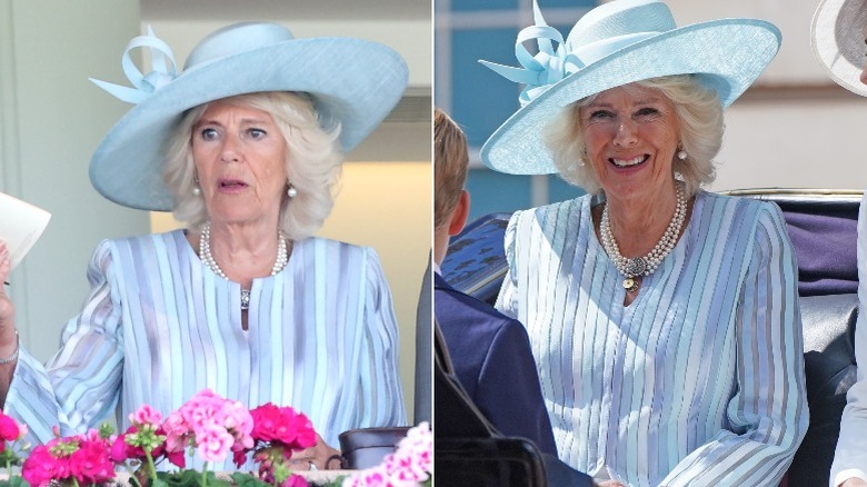 Camilla Parker Bowles seated