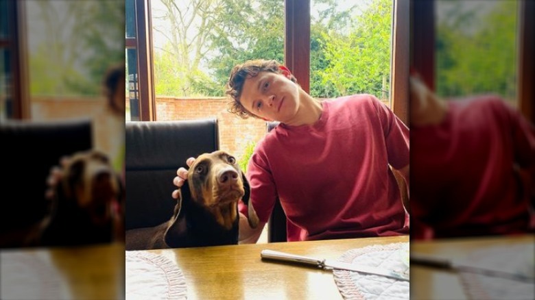 Tom Holland and a dog