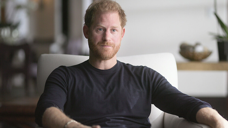 Prince Harry in Netflix documentary