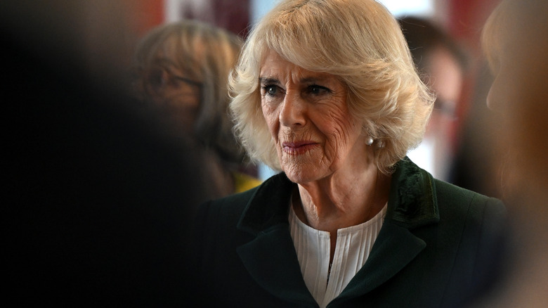 Camilla Parker Bowles in crowd 