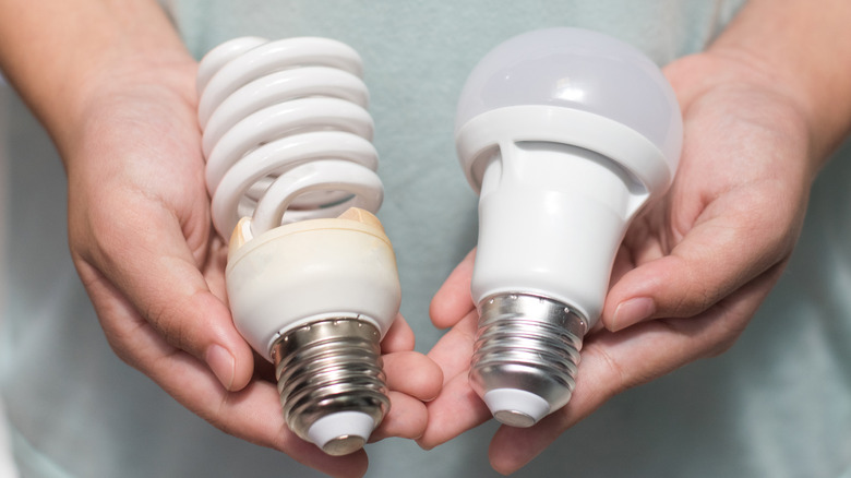 Person holding a LED and CFL bulb