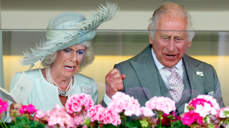 Charles and Camilla watching Desert Hero 