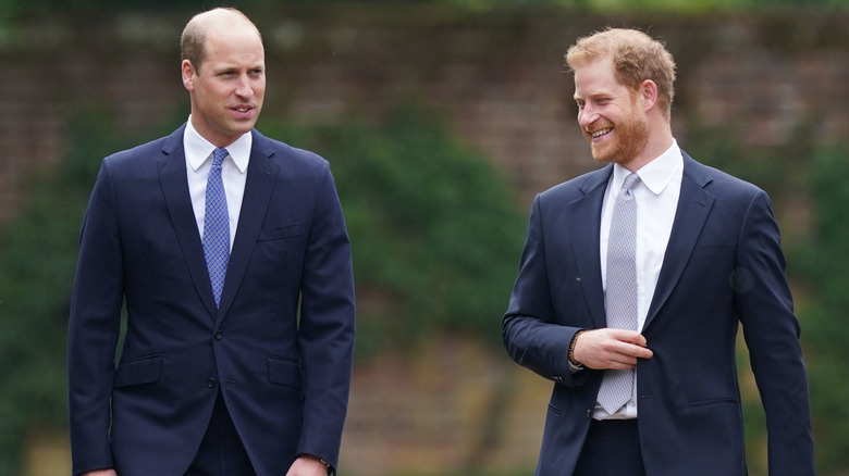 Prince William and Prince Harry talking