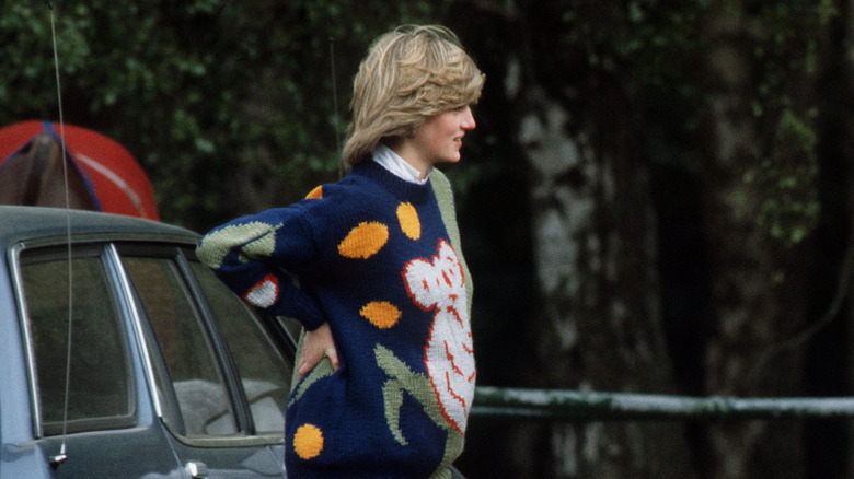 Princess Diana koala sweater