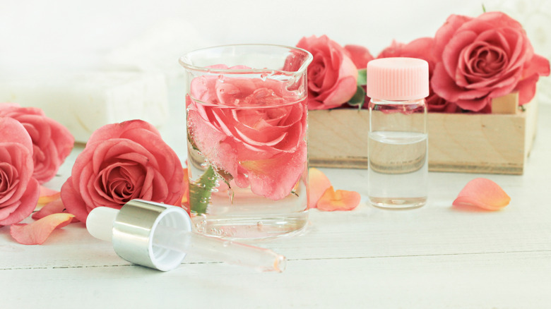 Pink rose in beaker of water 