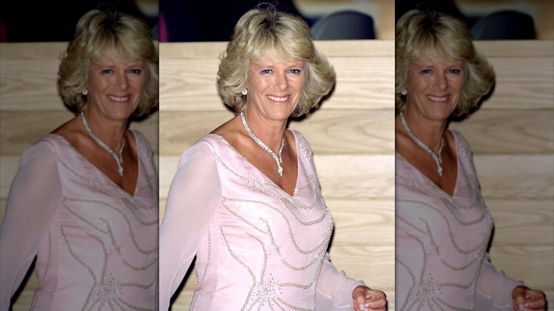 Camilla Parker Bowles at The Prince's Foundation Gala Dinner in London (2000)