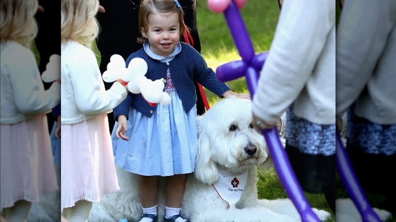 Princess Charlotte petting dog