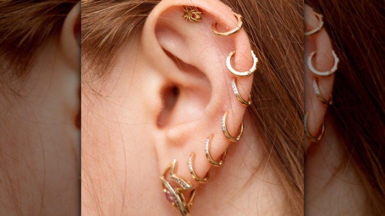 Ear with several piercings