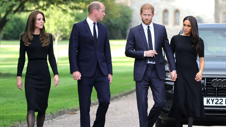 Fab four on walkabout