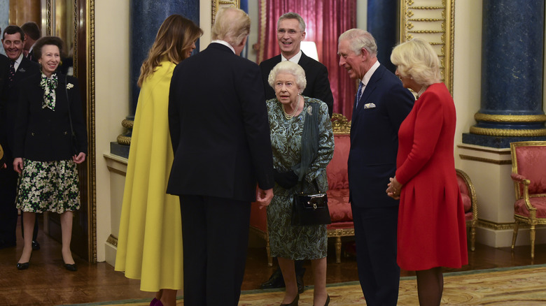 Princess Anne looking at the queen meeting Donald Trump