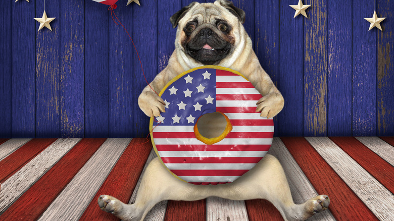 Pug with American flag donut