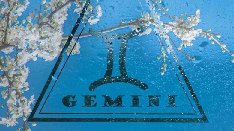 Gemini sign 