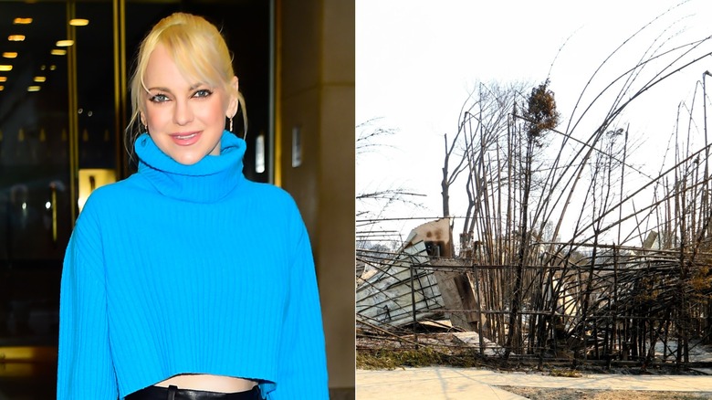 Split image of Anna Faris and her home destroyed in Los Angeles wildfire