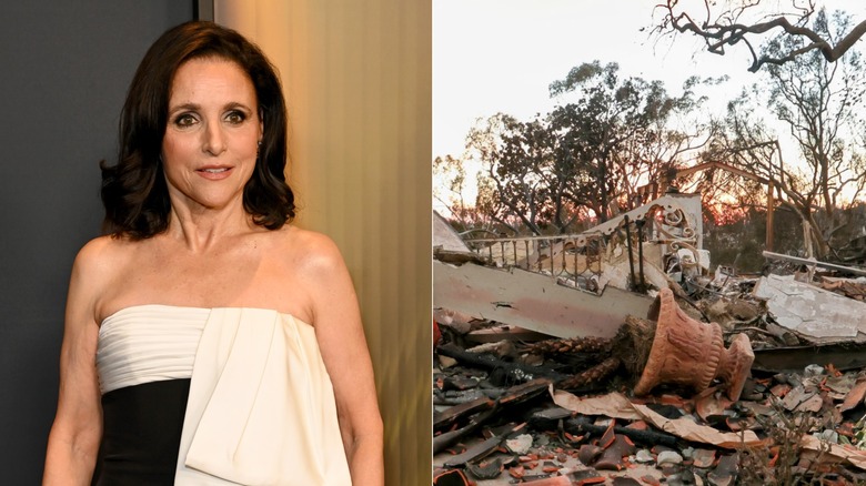 Split image of Julia Louis-Dreyfus and her home destroyed in Los Angeles wildfire