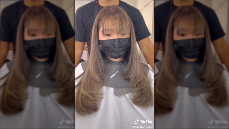 TikTok still of haircut with wispy layers from @hecktor_salon