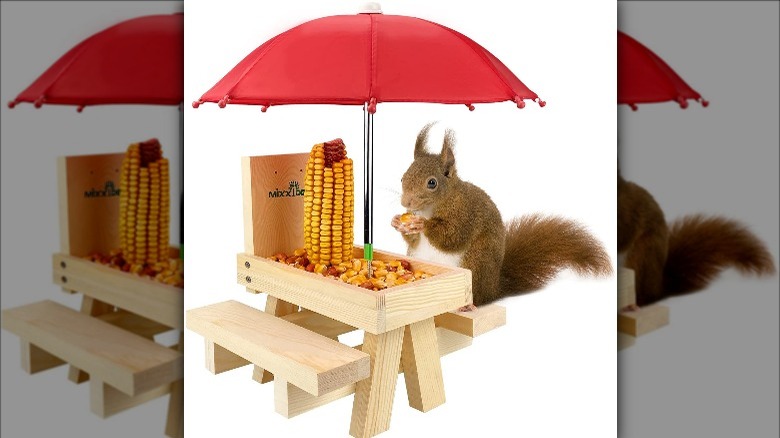 Picnic table squirrel feeder