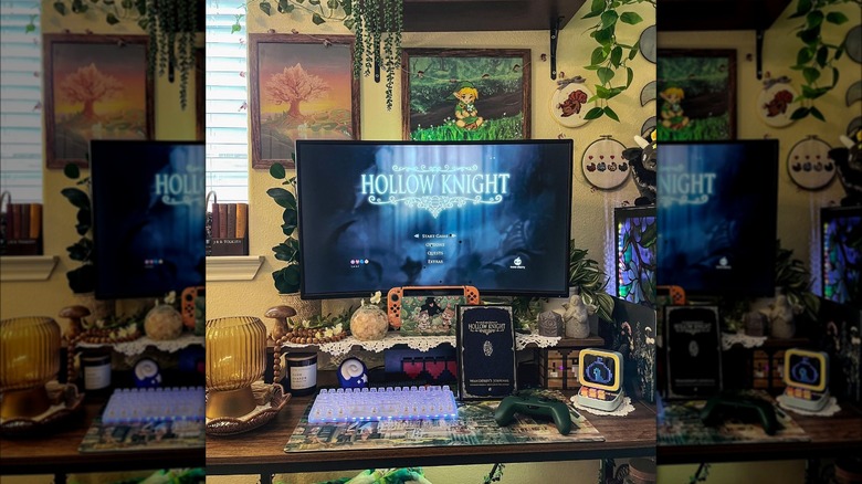 Hollow Knight title on monitor