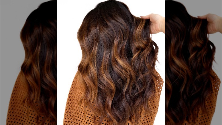 Dark hair with copper highlights