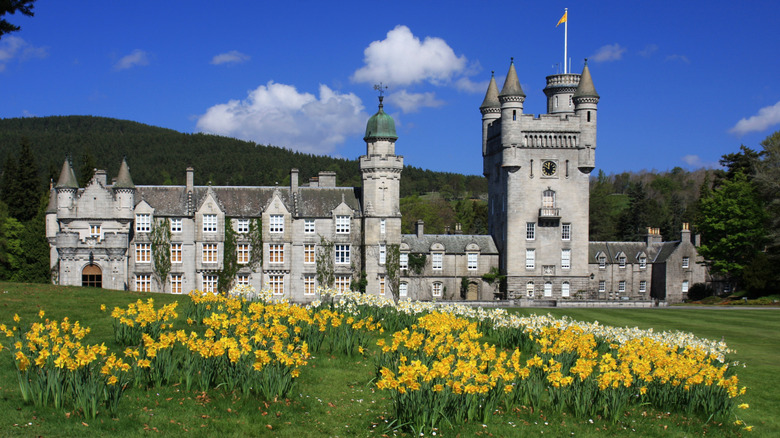 Balmoral Castle with daffodils