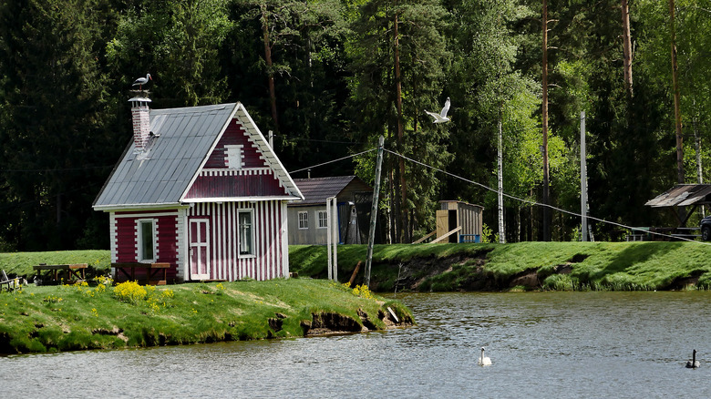 tiny house on a lake