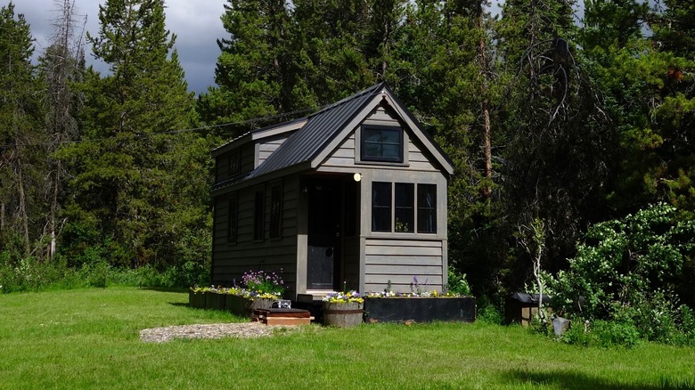 tiny house in the woods