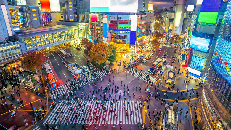 Shibuya Crossing at twilight