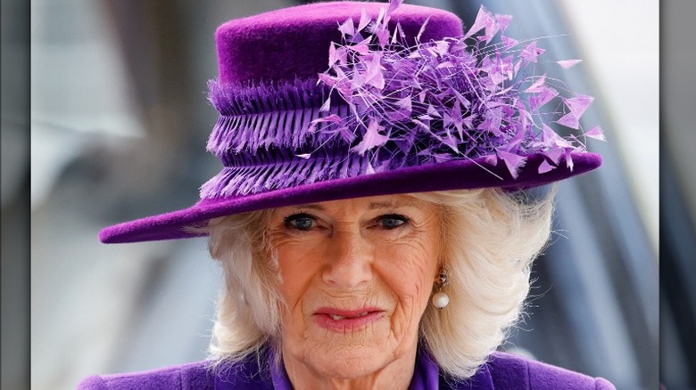 Queen Camilla large purple hat