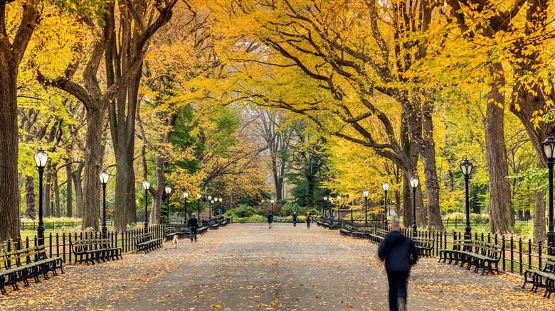 mall and literary walk in Central Park