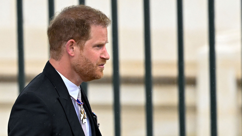 A profile shot of Prince Harry