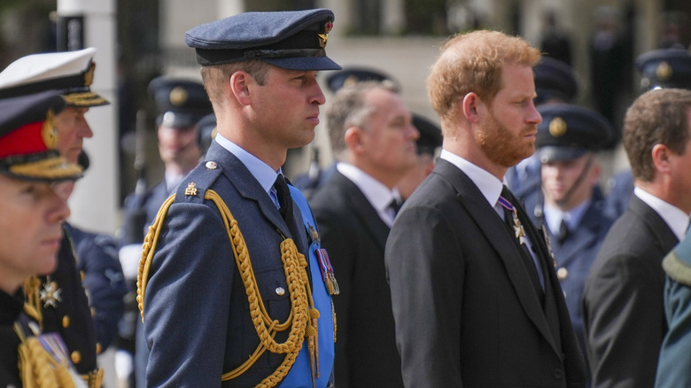 Prince William and Prince Harry stand side by side