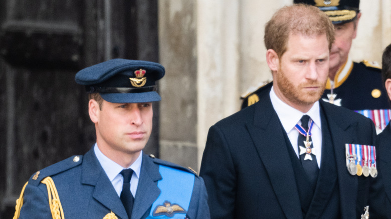 Prince William and Prince Harry look somber at the State Funeral of Queen Elizabeth II at Westminster Abbey in London (2022)