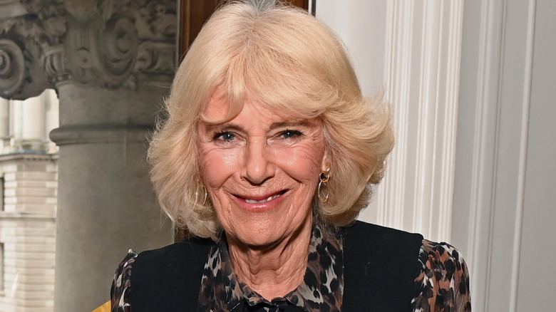 Queen Camilla attends the 50 Years of Women's Aid anniversary reception at the Institution of Mechanical Engineers in London, England (2024)