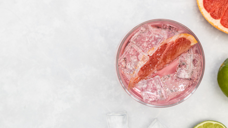 Gin and tonic garnished with grapefruit