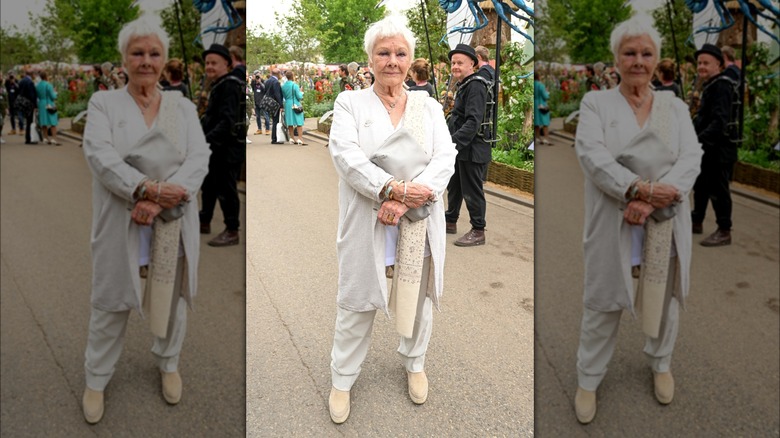 Judi Dench poses for cameras 