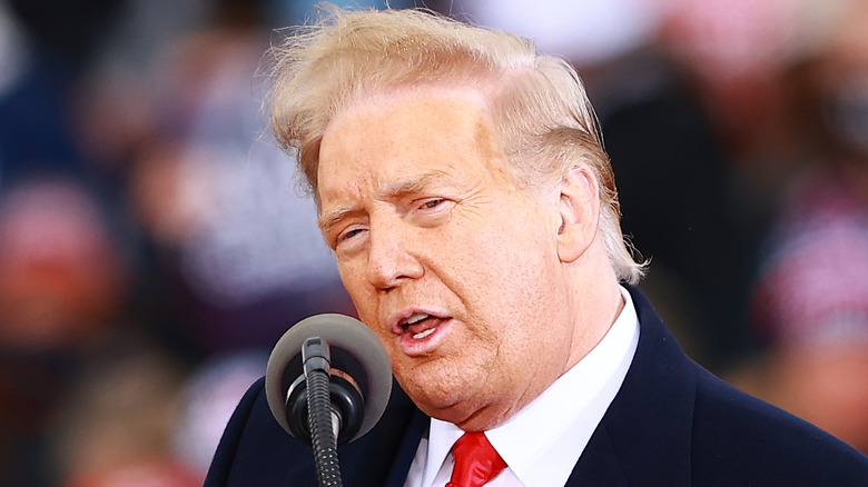 Donald Trump behind a microphone, head tilted, with a breeze blowing his hair back.