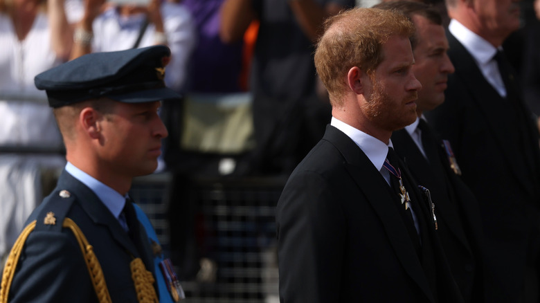 Prince William and Harry