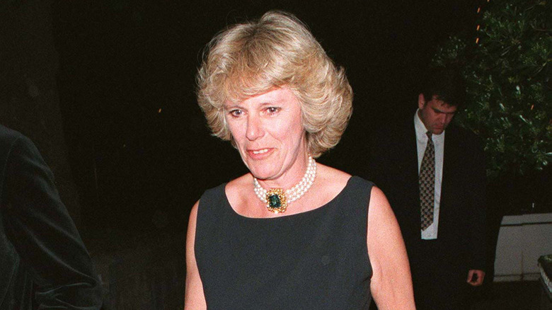 Camilla Parker Bowles in 1996 