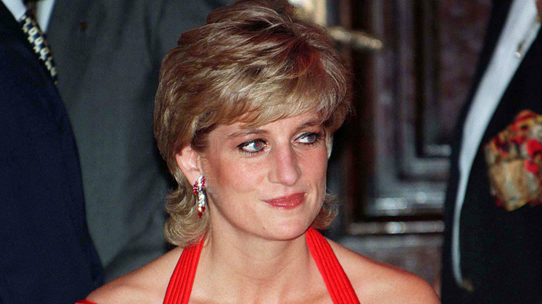 Diana Spencer in 1995 