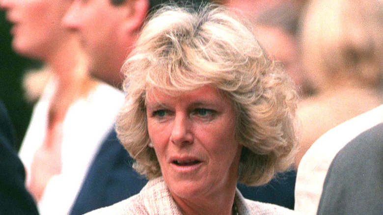 Camilla Parker Bowles in the 1990s 