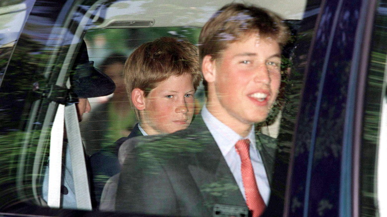 Prince Harry and Prince William in a car