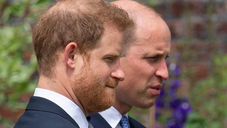 Prince Harry and Prince William side by side