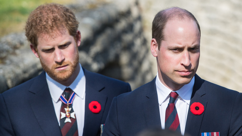 Prince Harry and Prince William looking glum