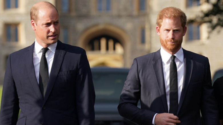 Prince Harry and Prince William walking together